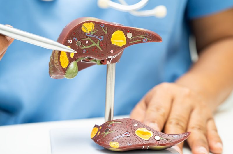 Understanding Common Stomach Disorders: From Gastritis to Ulcers